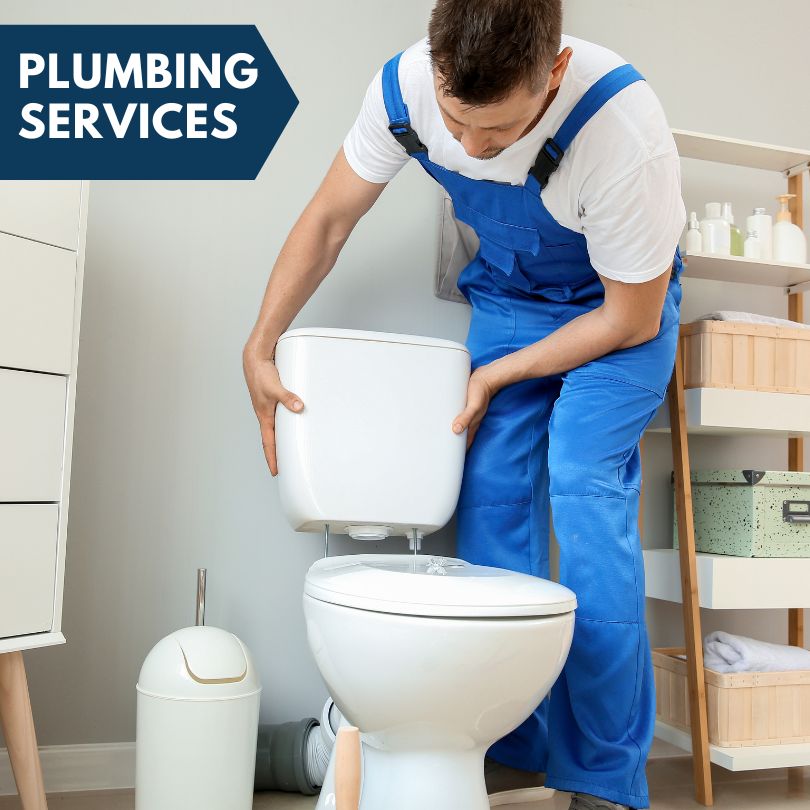 Plumbing Company in Neponset, IL